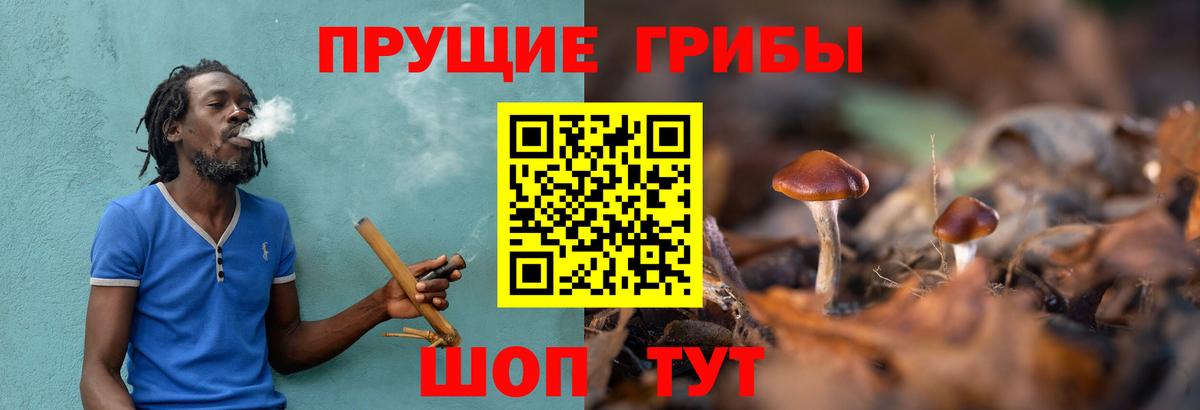 Галлюциногенные грибы Magic Shrooms Можга