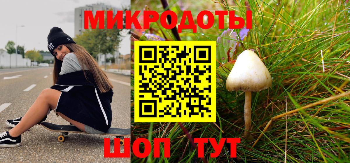 Можга  Псилоцибиновые грибы мухоморы  Вход с VPN 